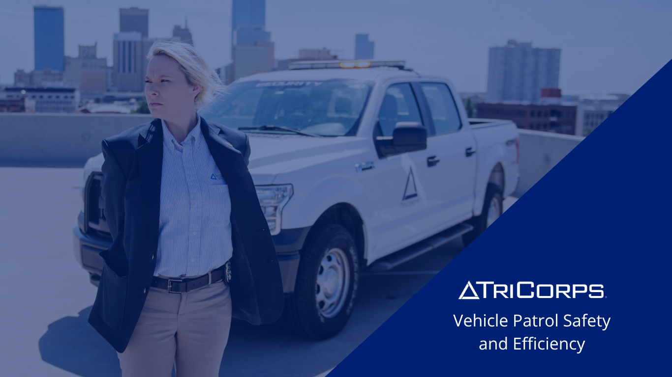 Vehicle Patrol Safety and Efficiency